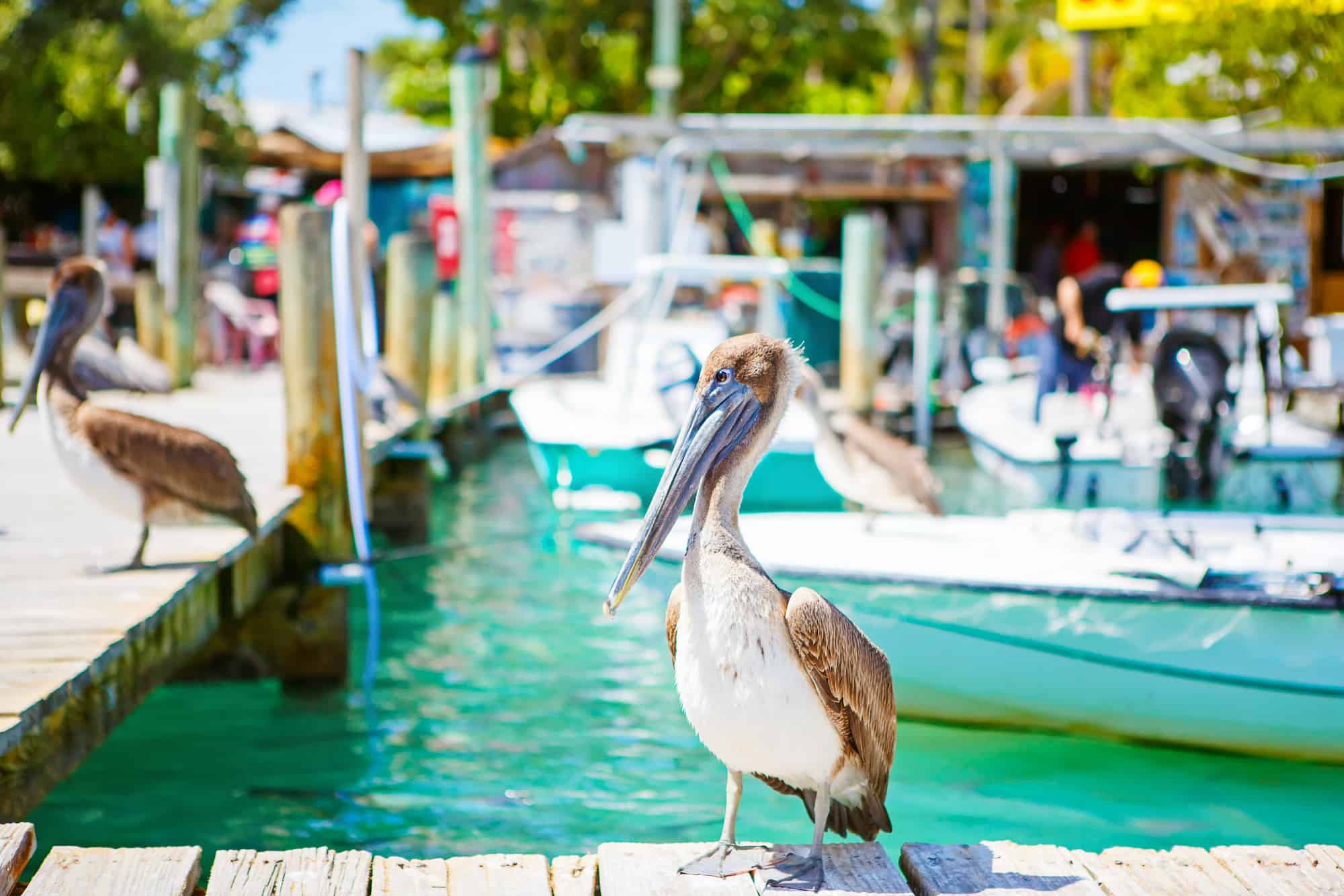 Islamorada