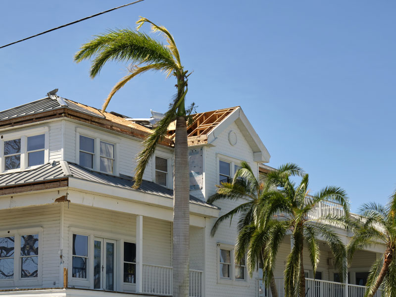 hurricane-proof-your-home